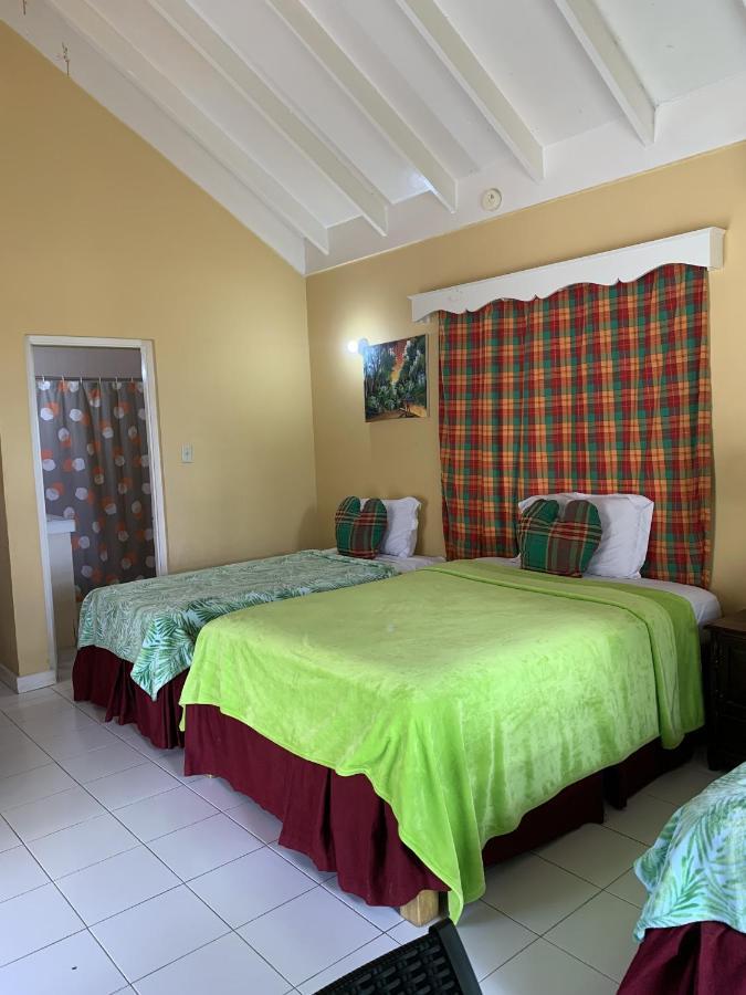 Family Comfort In Jamaica - Enjoy 7 Miles Of White Sand Beach! Villa Негрил Экстерьер фото